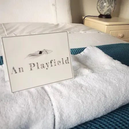 An Playfield